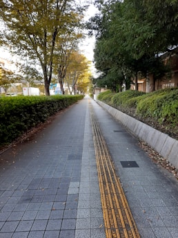 A long, tiled walkway flanked by green hedges and tall trees, some of which have leaves turning yellow, suggesting an autumn setting. The center of the path features yellow tactile paving meant for guiding visually impaired individuals.