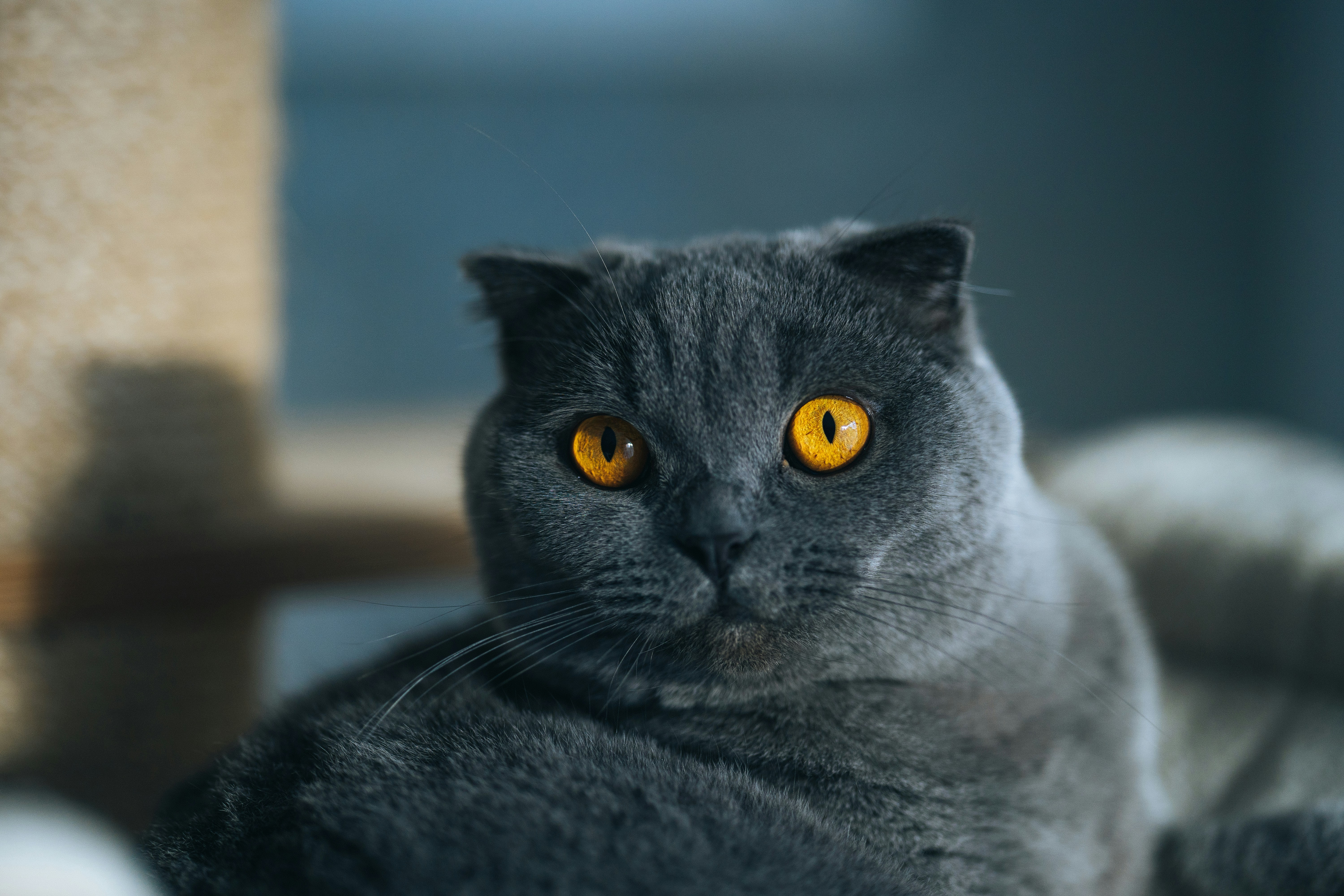 Photo by omarvellous14