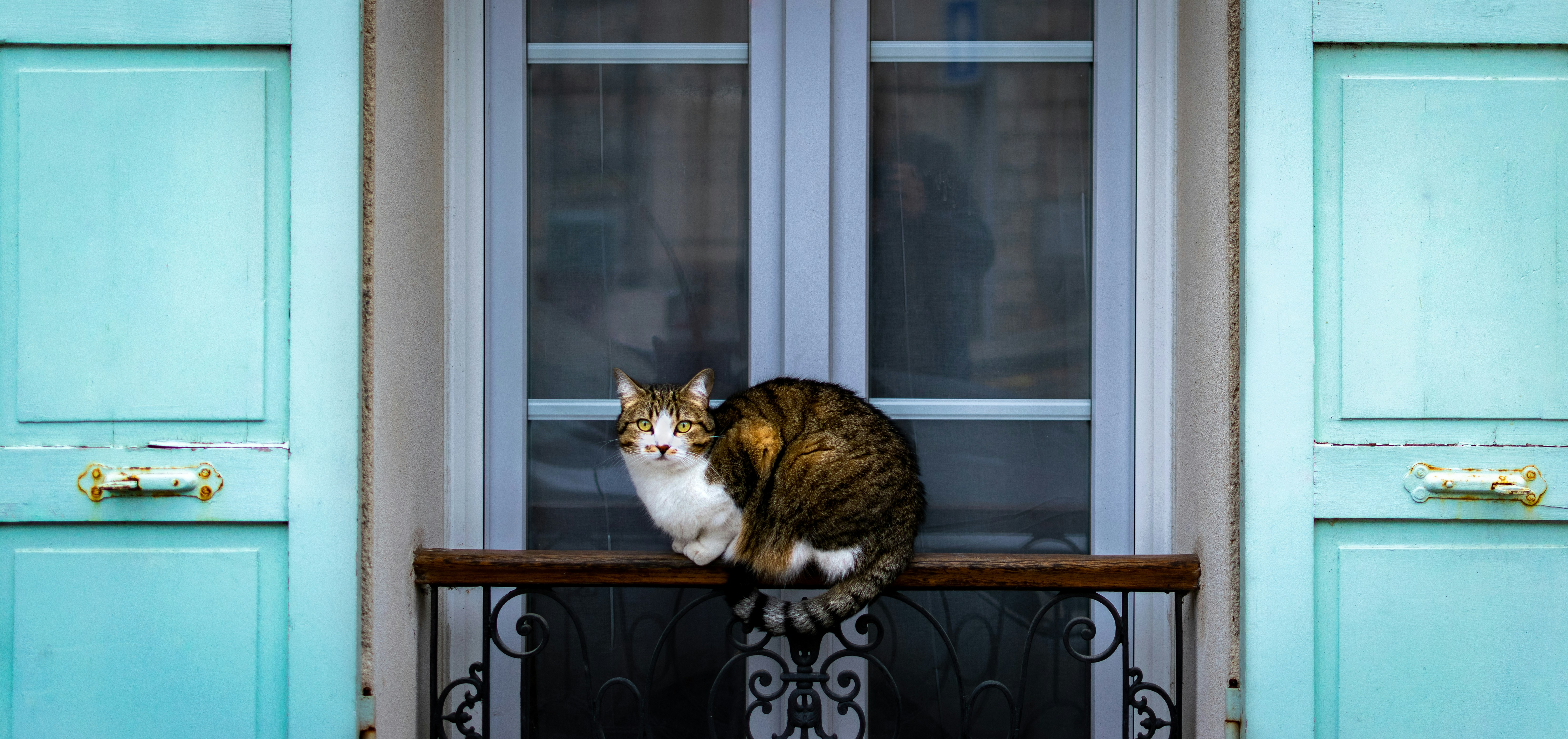 Photo by aurel__lens