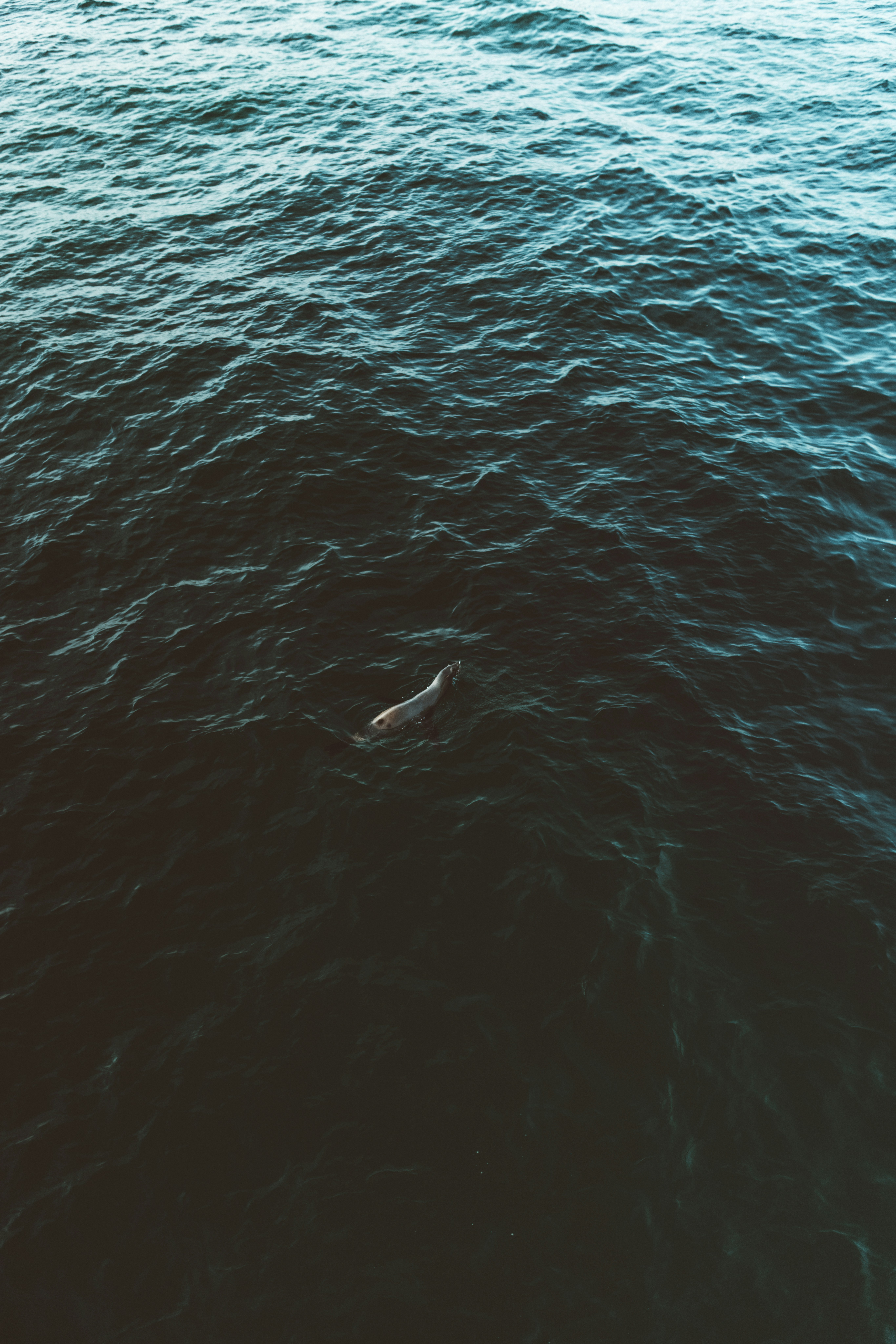 Photo by nate_dumlao