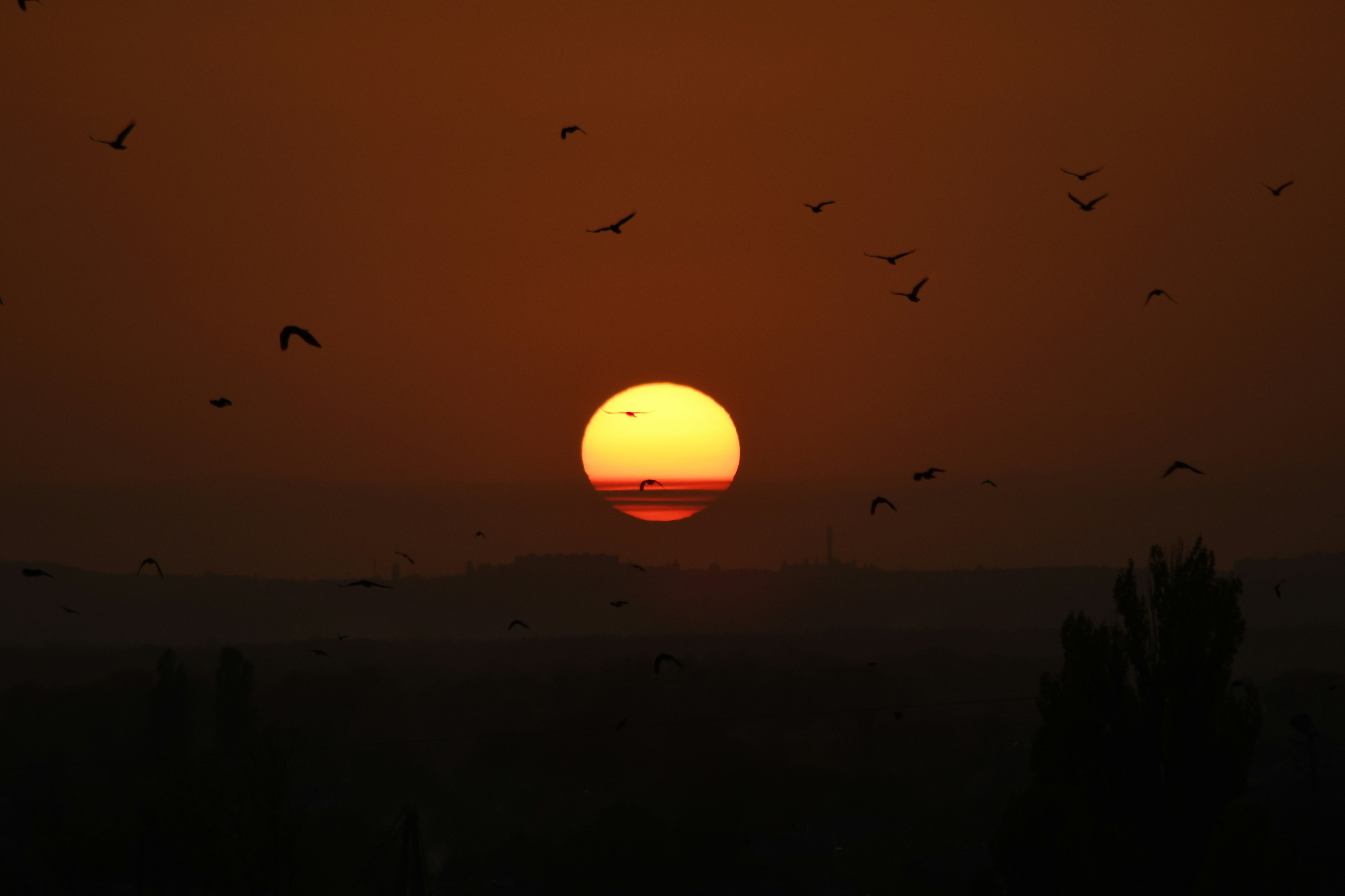 Photo by raspopovamarisha