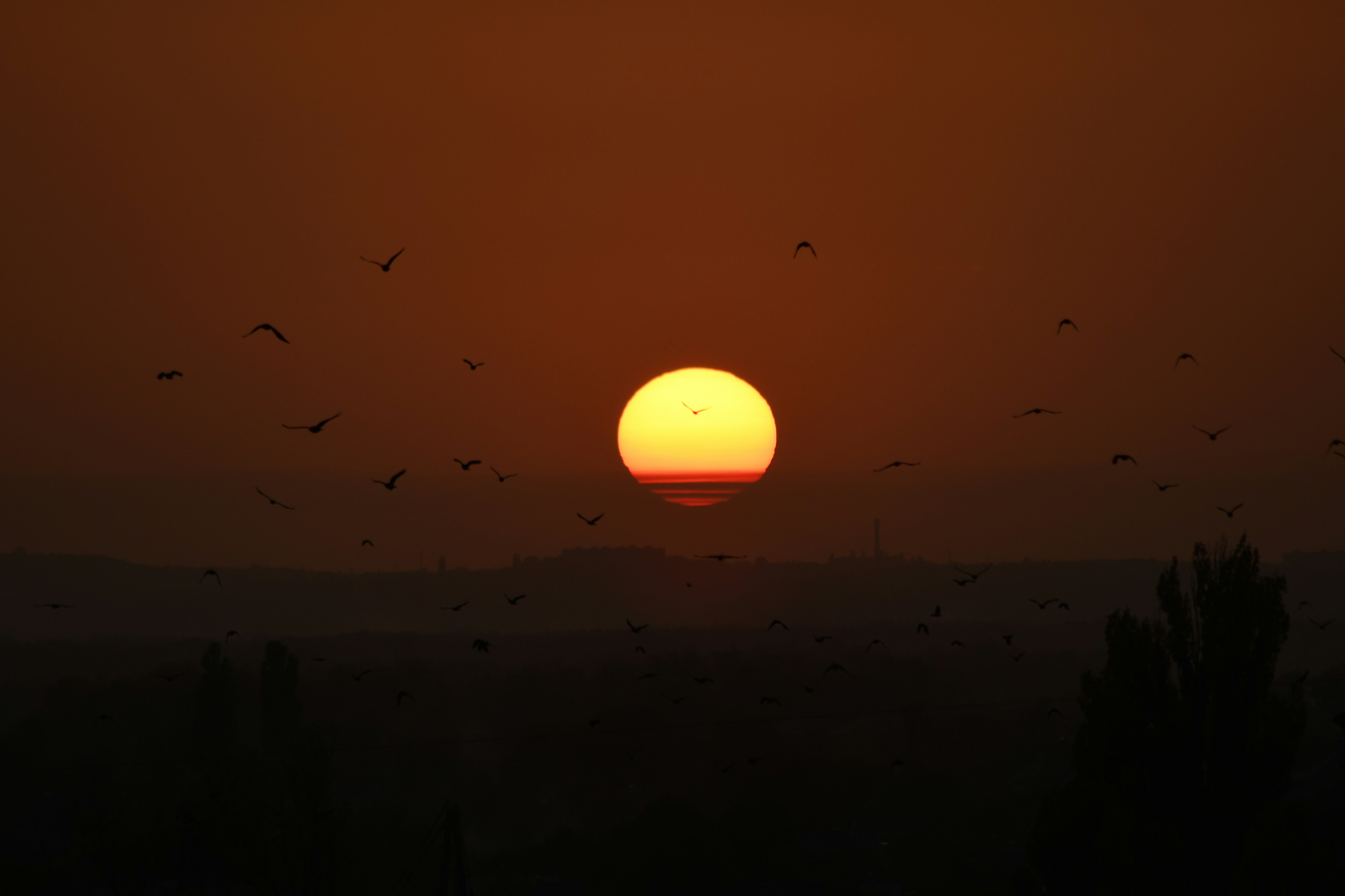 Photo by raspopovamarisha