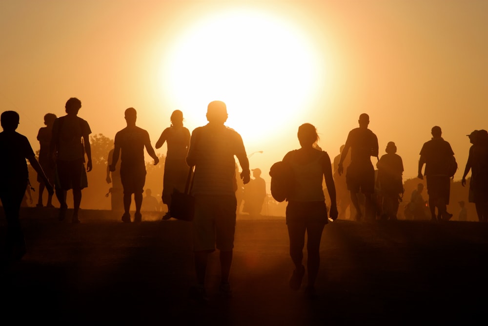 silhouette of people standing on brown sand during sunset