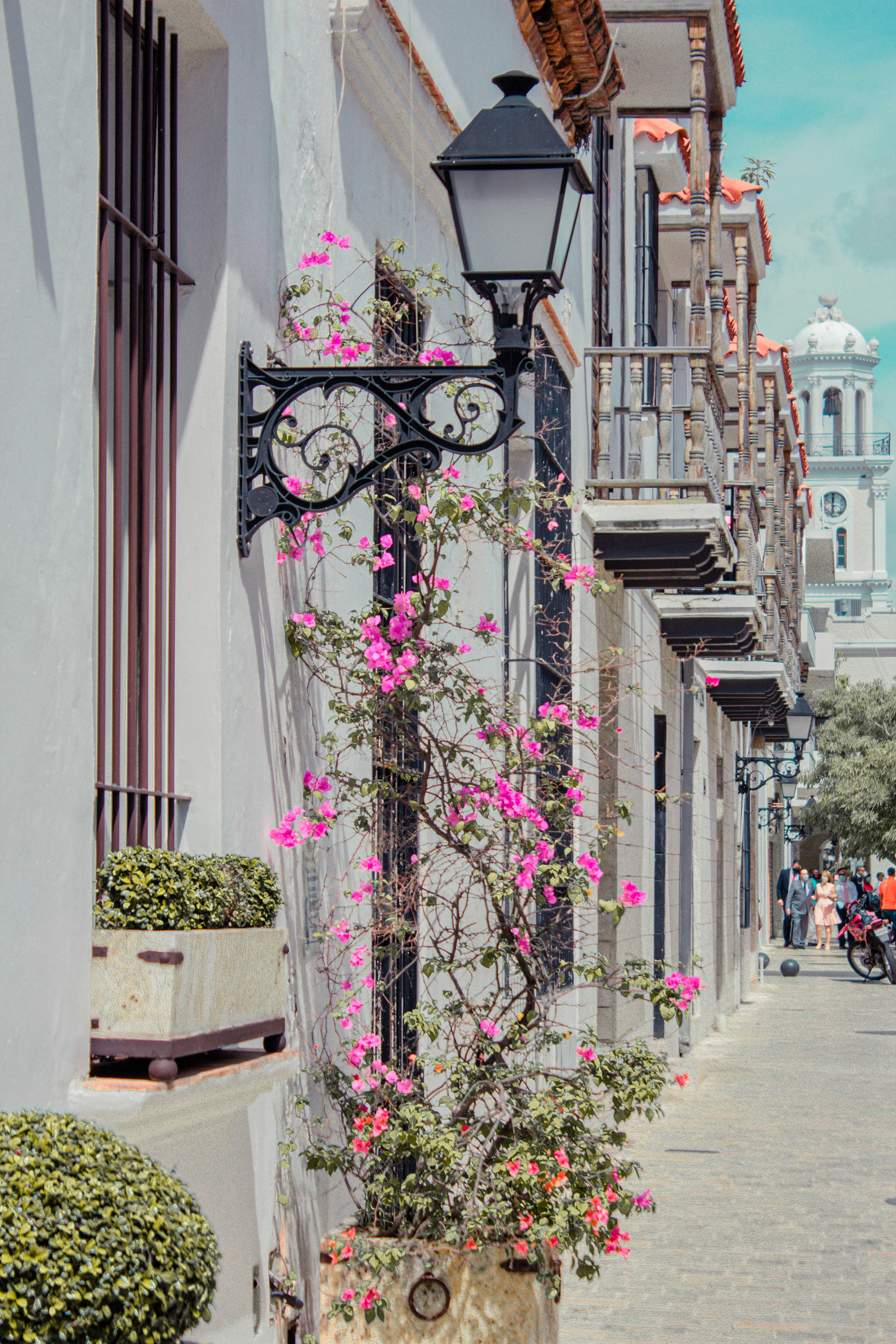 Photo by honeyyanibel