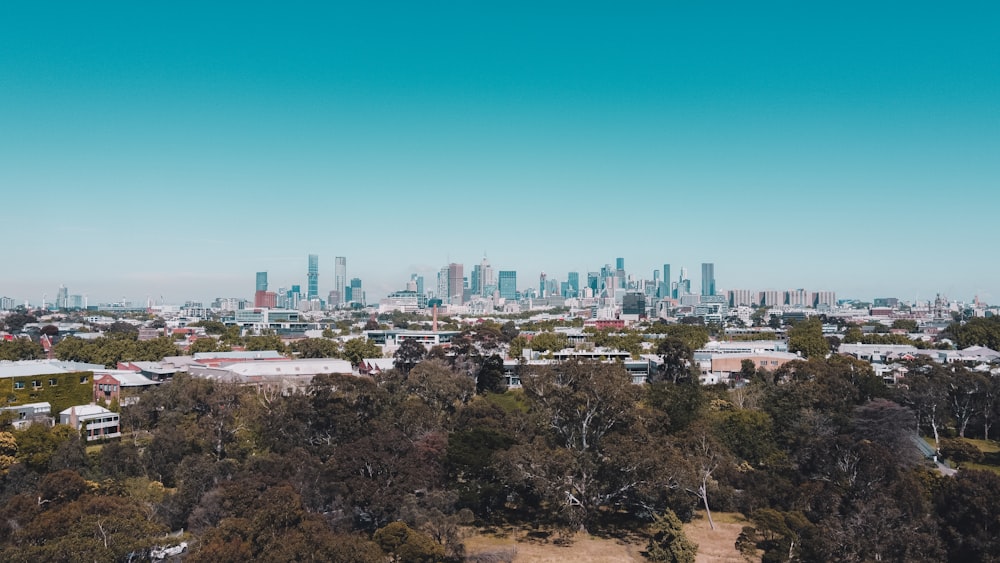 city with high rise buildings under blue sky during daytime