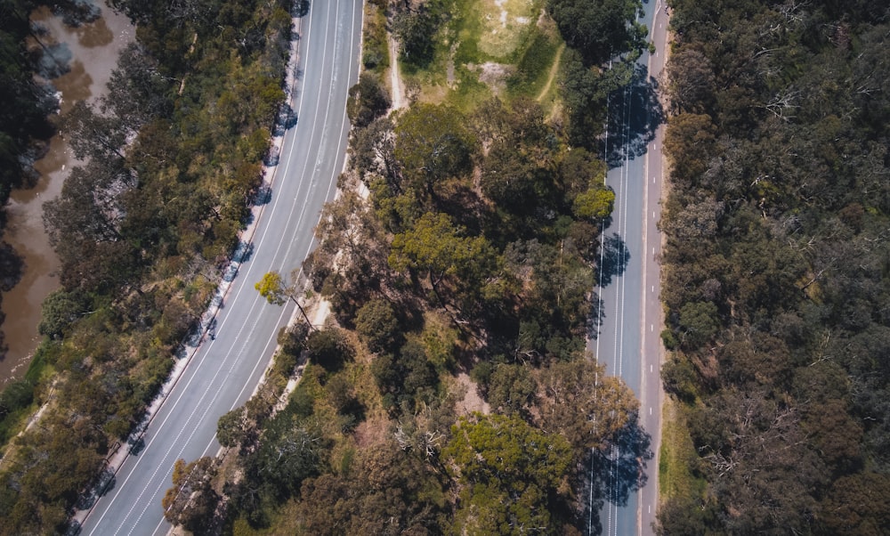 aerial view of road between green trees during daytime