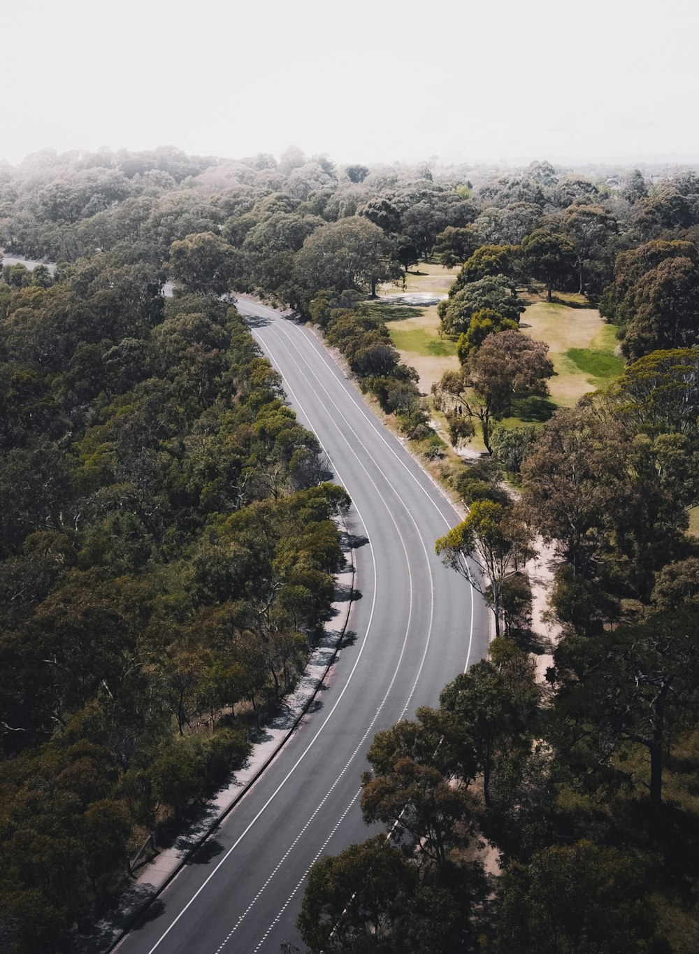 aerial view of road between green trees during daytime