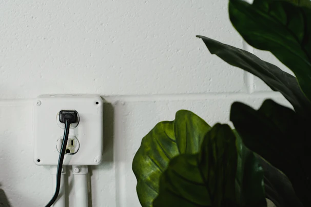 Newly installed electrical outlet with a sleek design in a clean living room.
