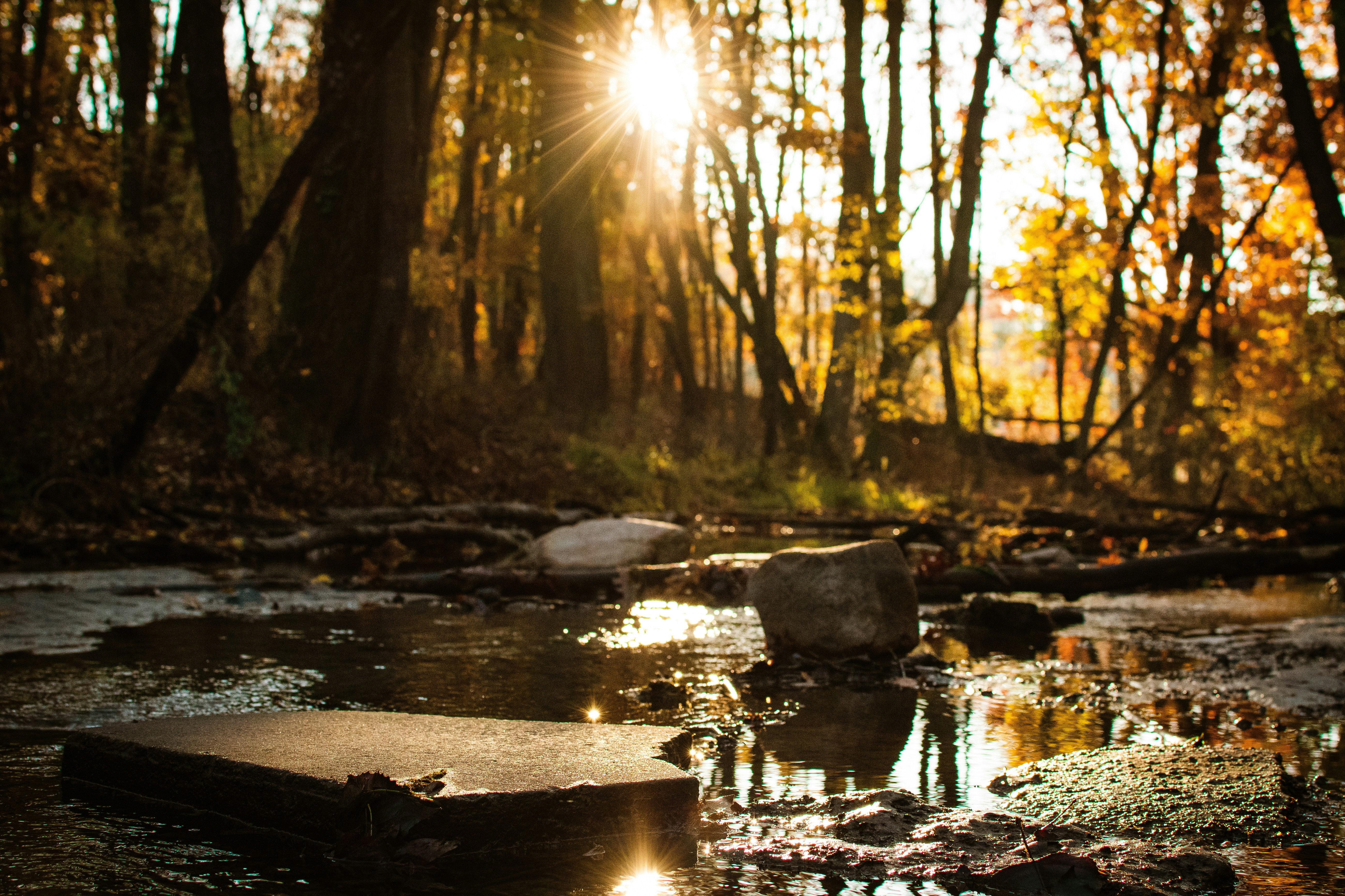 Photo by harrisonfitts