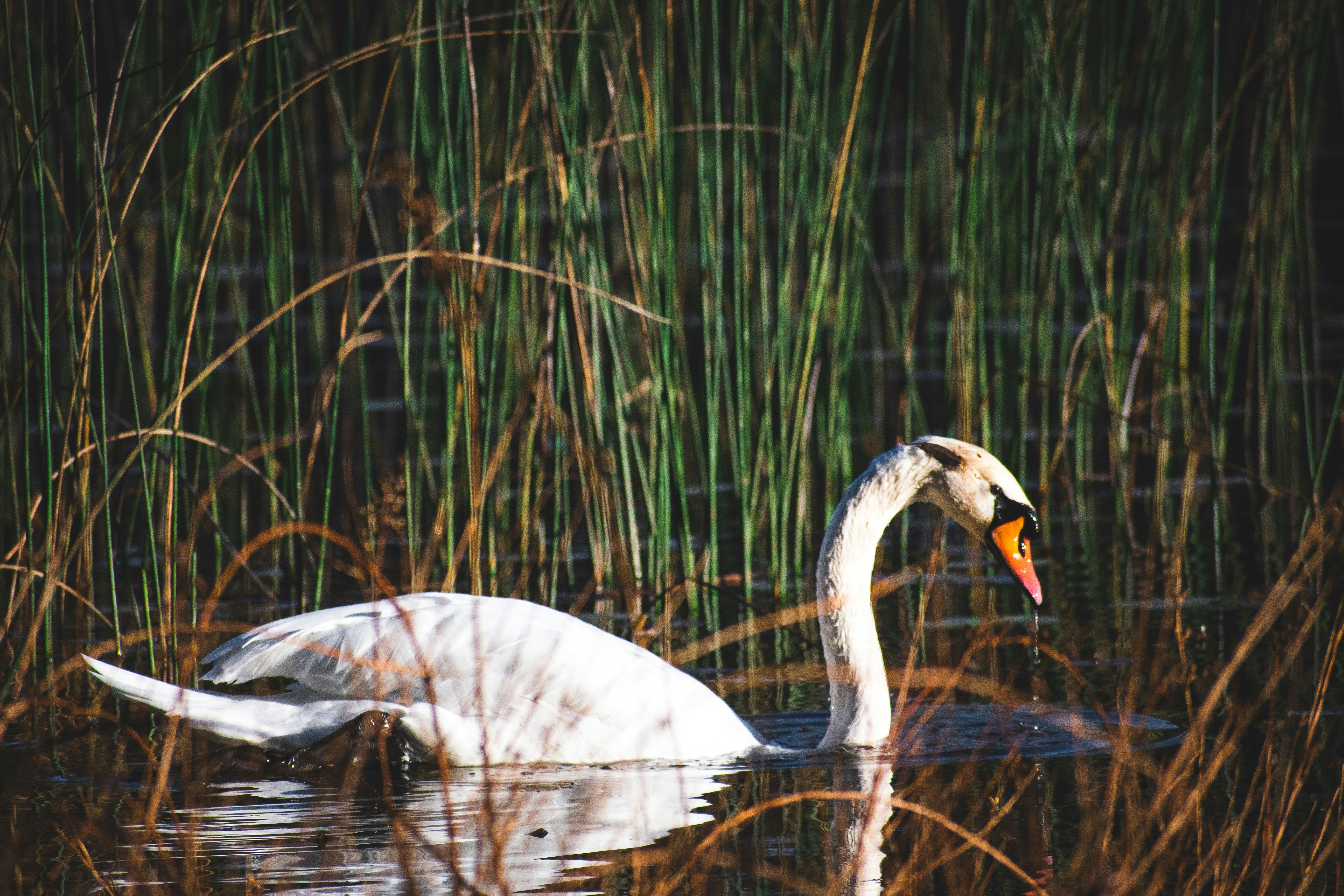 Photo by harrisonfitts