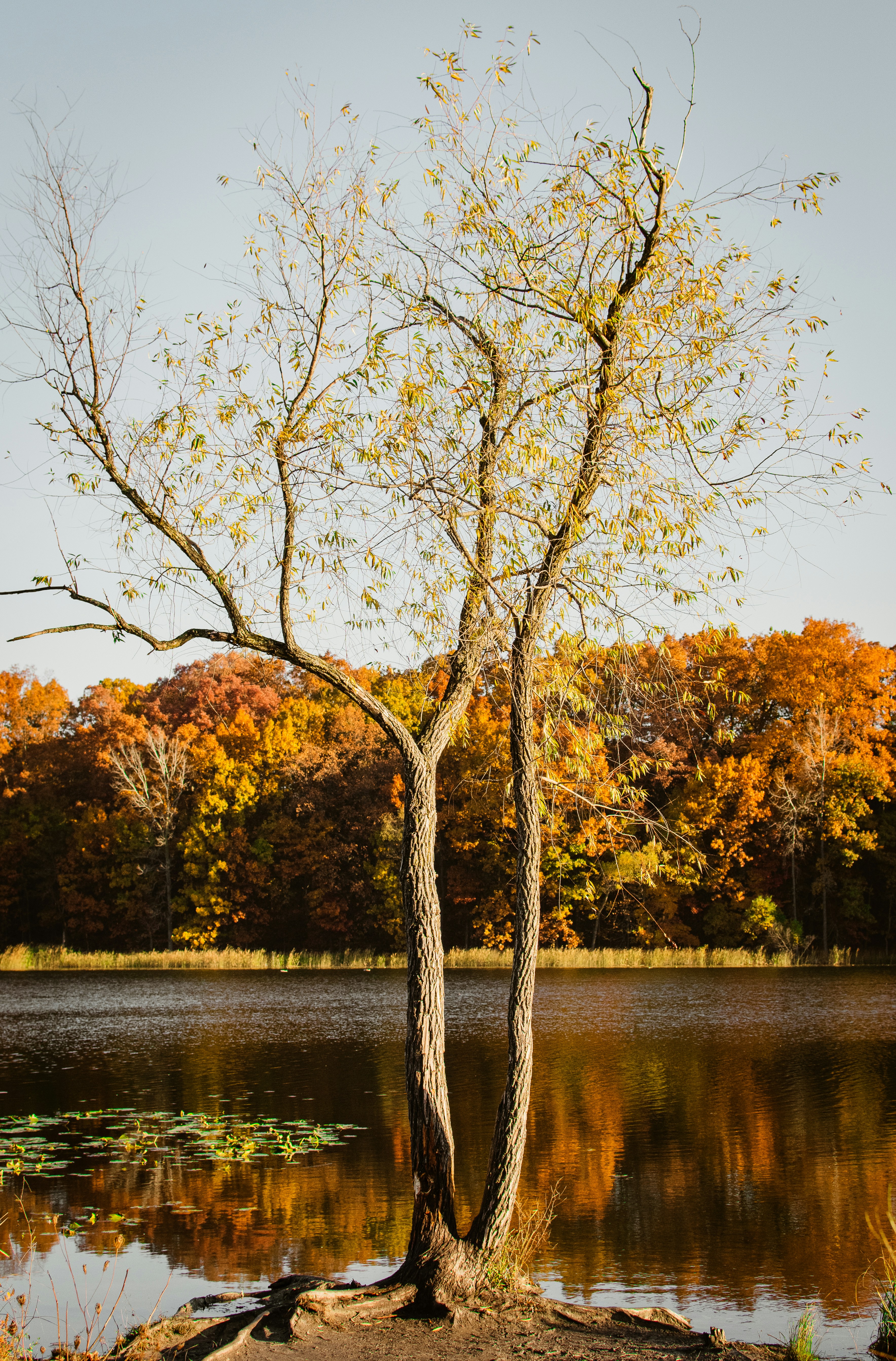 Photo by harrisonfitts