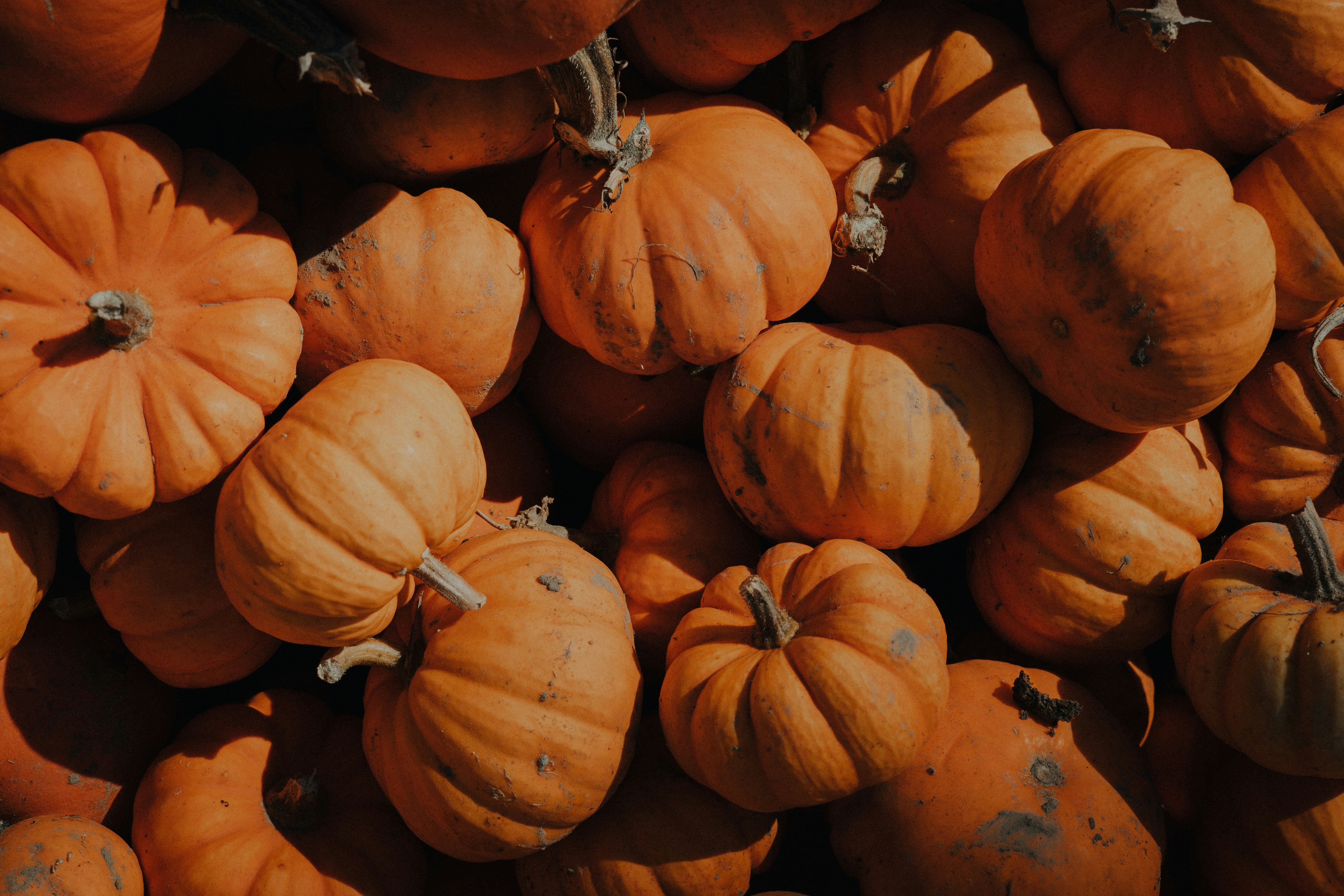 Photo by andriklangfield