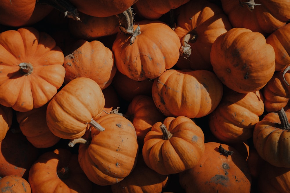 orange pumpkins on brown soil