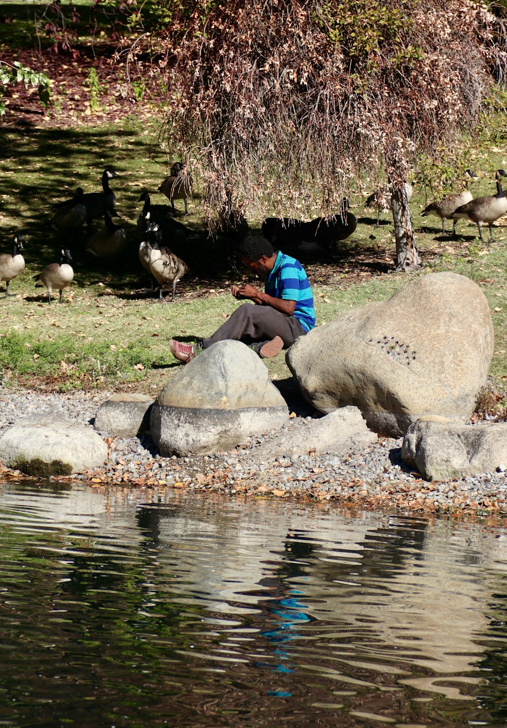 man in blue jacket sitting on rock near river during daytime