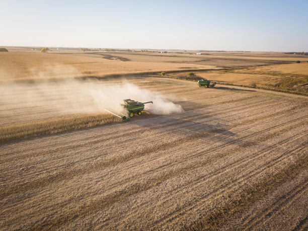 Farmers working together in a lush green field during harvest season.