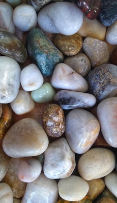 A collection of smooth, polished stones in various shapes and sizes, featuring shades of white, brown, gray, and green. Each stone has a unique texture and pattern, contributing to an overall natural and earthy appearance.