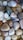 A collection of smooth, polished stones in various shapes and sizes, featuring shades of white, brown, gray, and green. Each stone has a unique texture and pattern, contributing to an overall natural and earthy appearance.