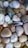 A collection of smooth, polished stones in various shapes and sizes, featuring shades of white, brown, gray, and green. Each stone has a unique texture and pattern, contributing to an overall natural and earthy appearance.