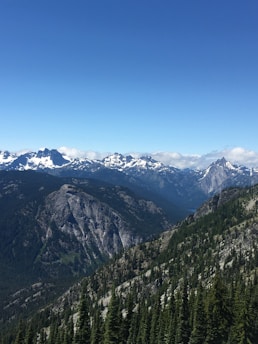 A vast mountainous landscape with rugged peaks and snow-capped summits under a clear blue sky. The foreground is filled with dense evergreen forests climbing up the slopes.