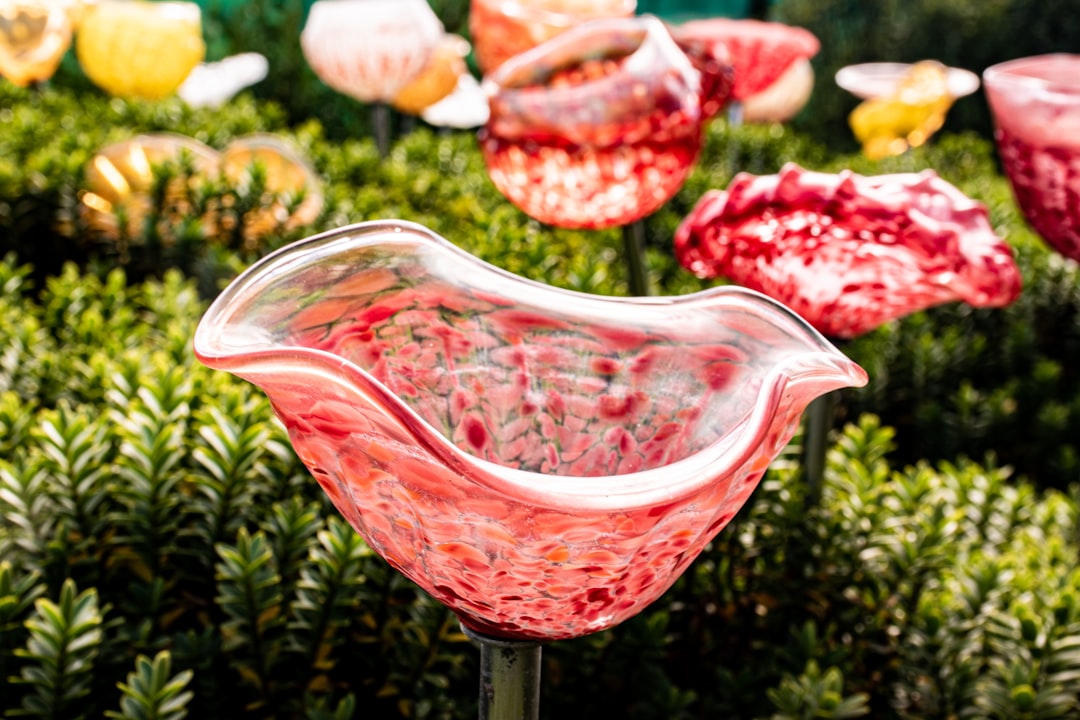 red and white flower petals in clear glass bowl