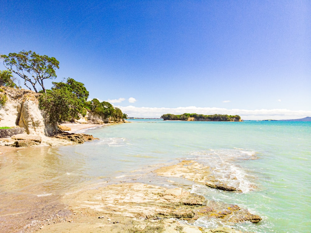 green trees on brown rock formation near body of water during daytime