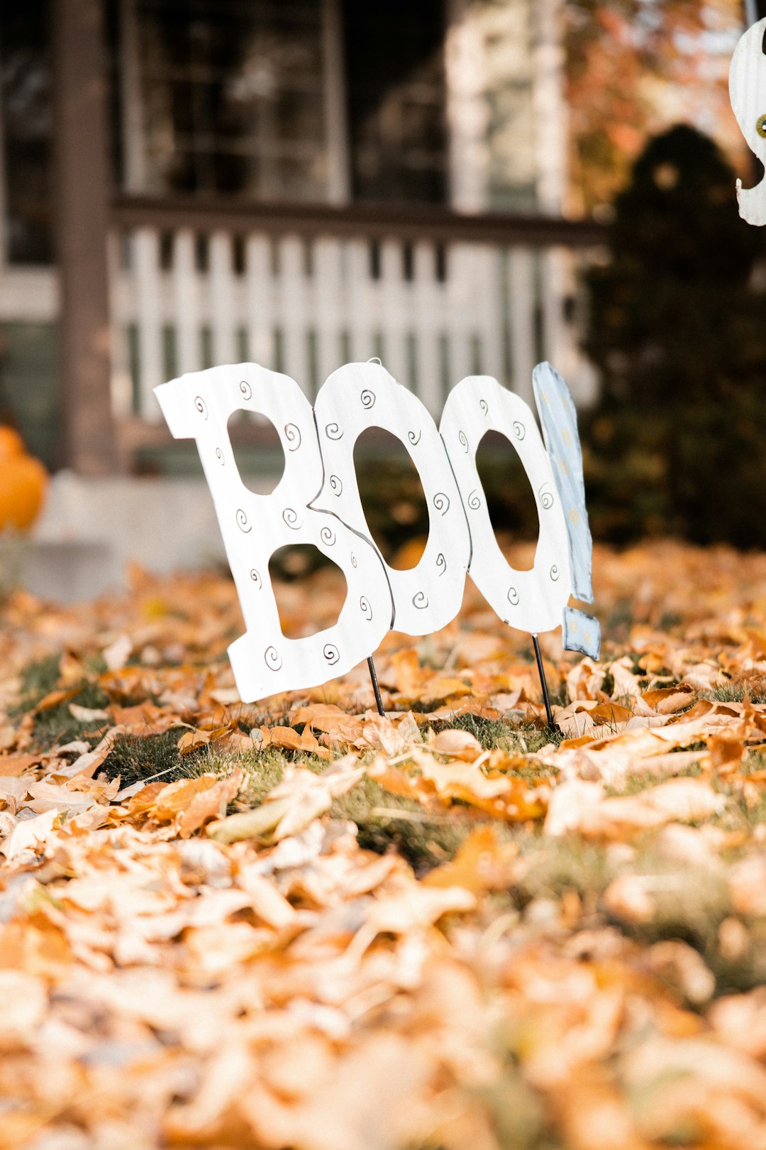 white plastic letter b on brown dried leaves