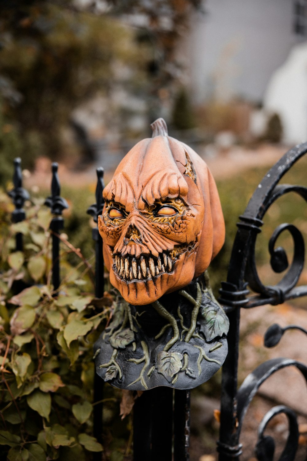 orange pumpkin on black metal fence