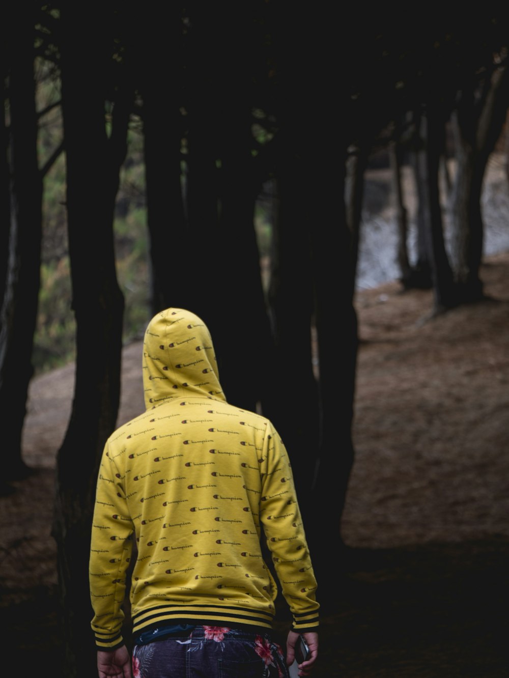Person in gelbem Kapuzenpulli, die tagsüber im Wald spazieren geht