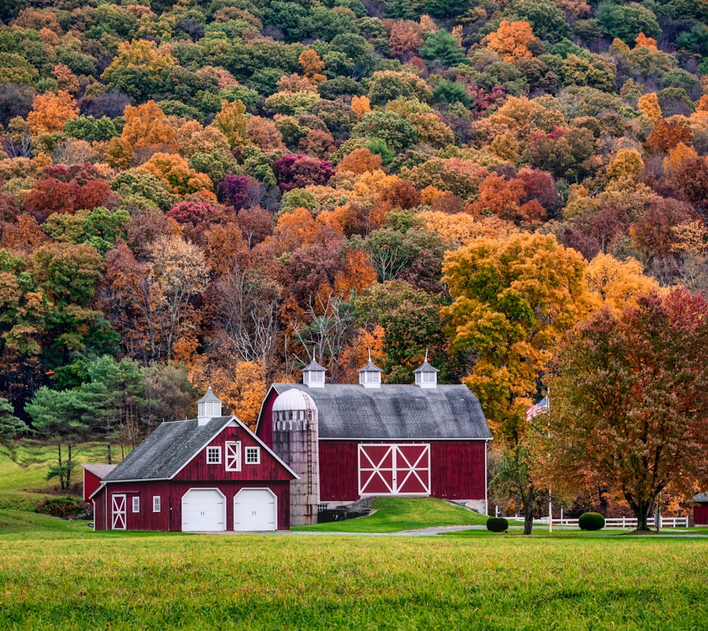 red and white barn surrounded by trees