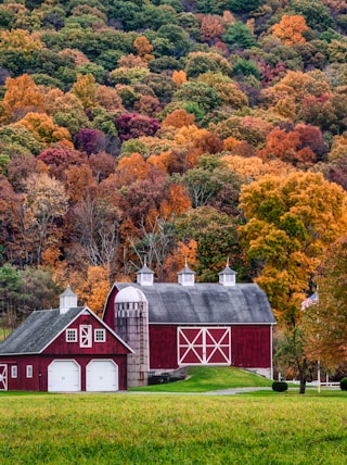 red and white barn surrounded by trees