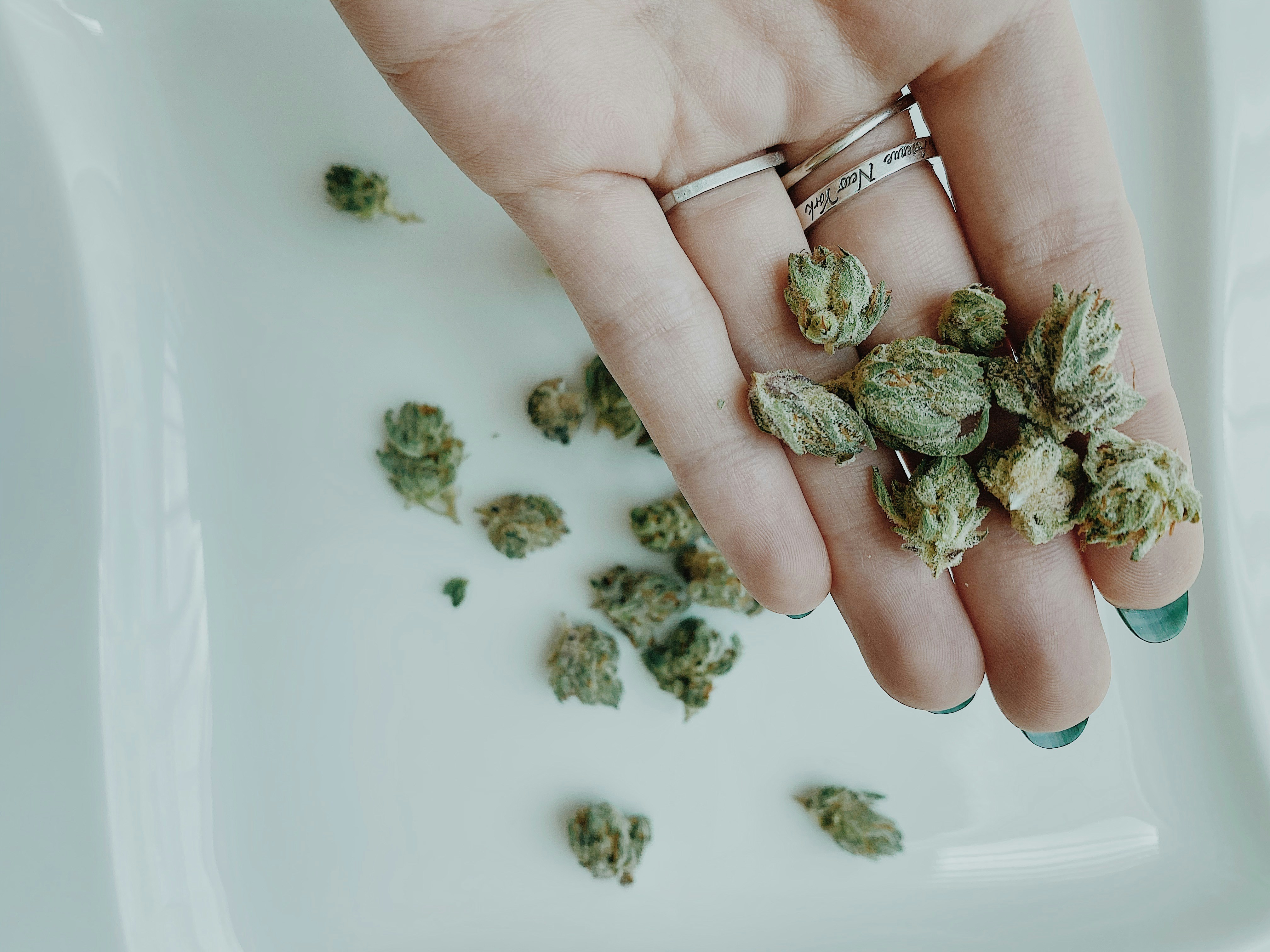 Medical cannabis flower by Nicole Plunkett
