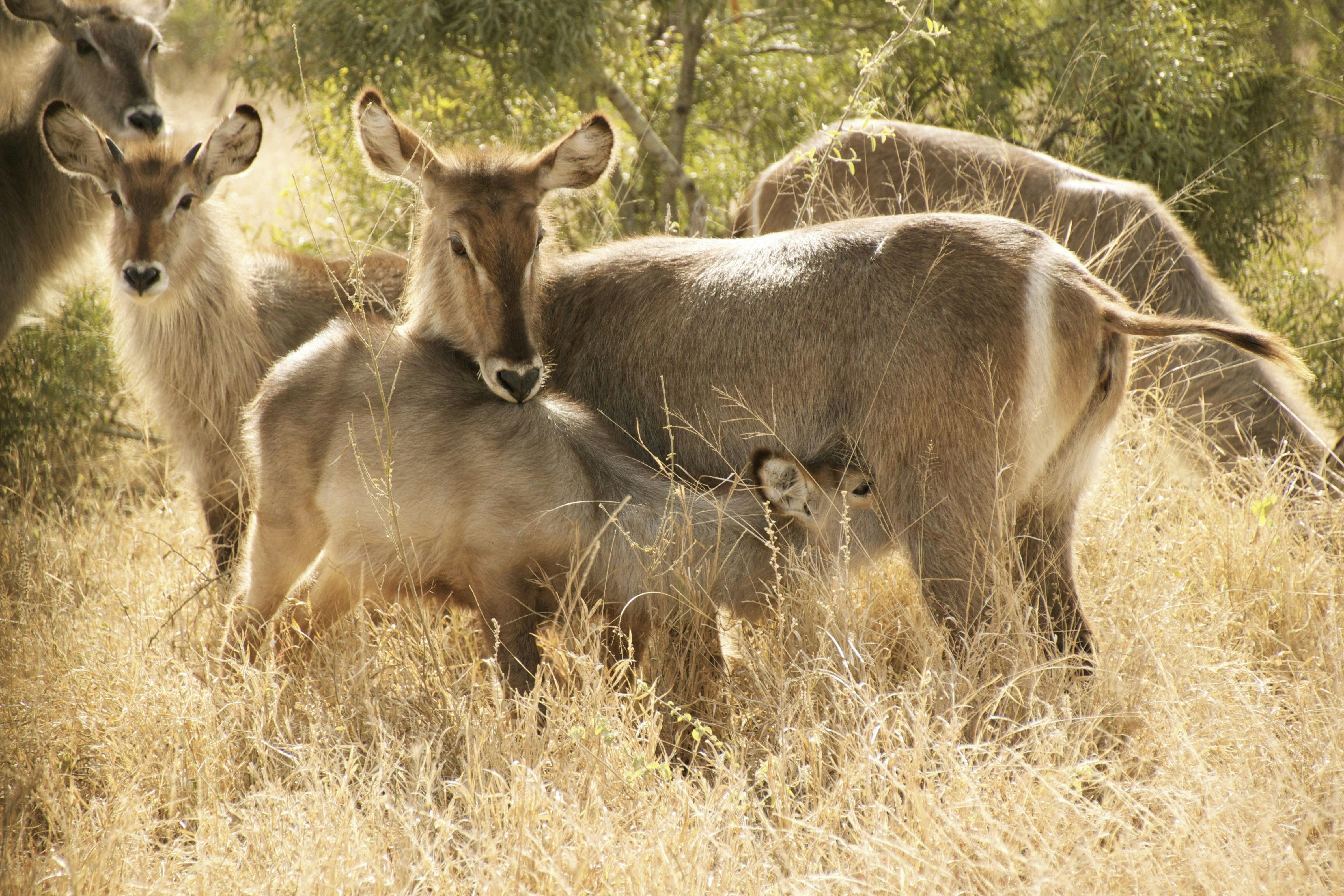 Photo by andreabrataas