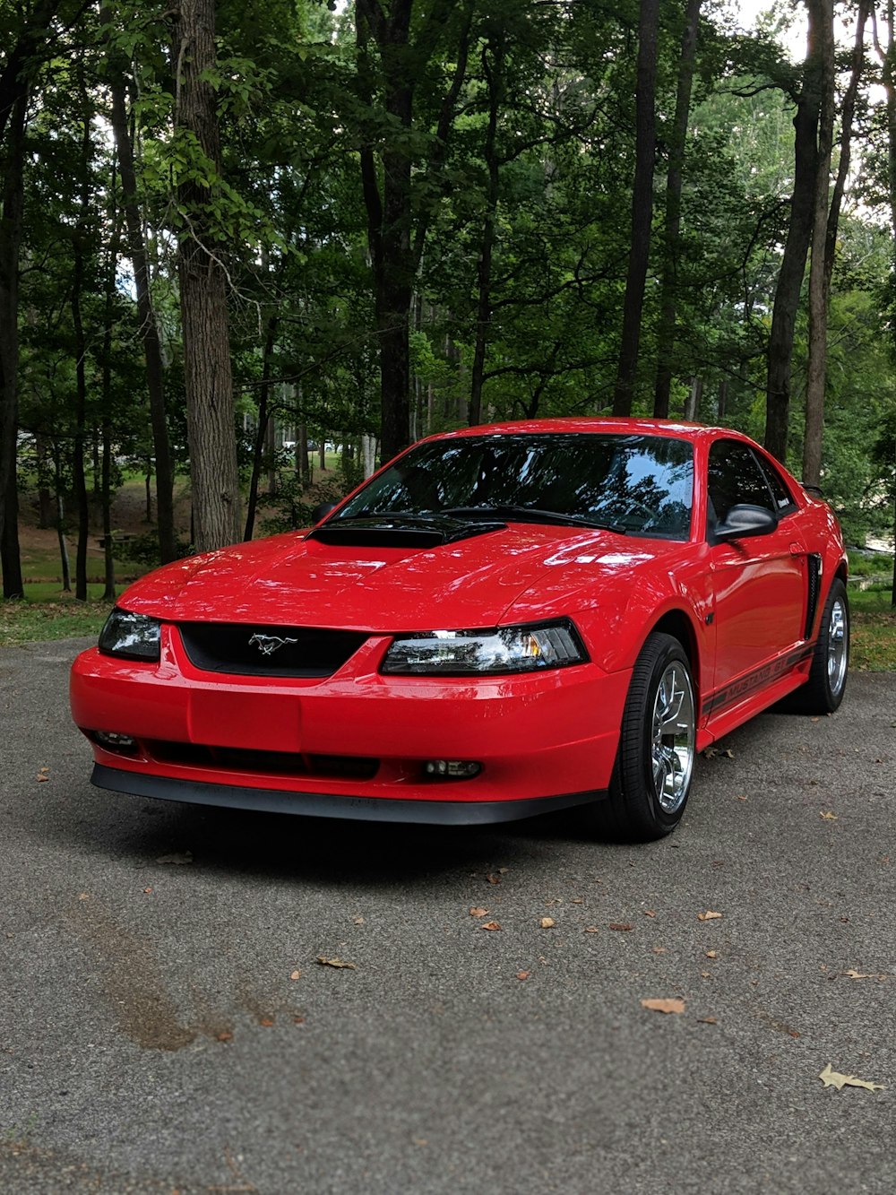 BMW M 3 rojo estacionado en el bosque durante el día