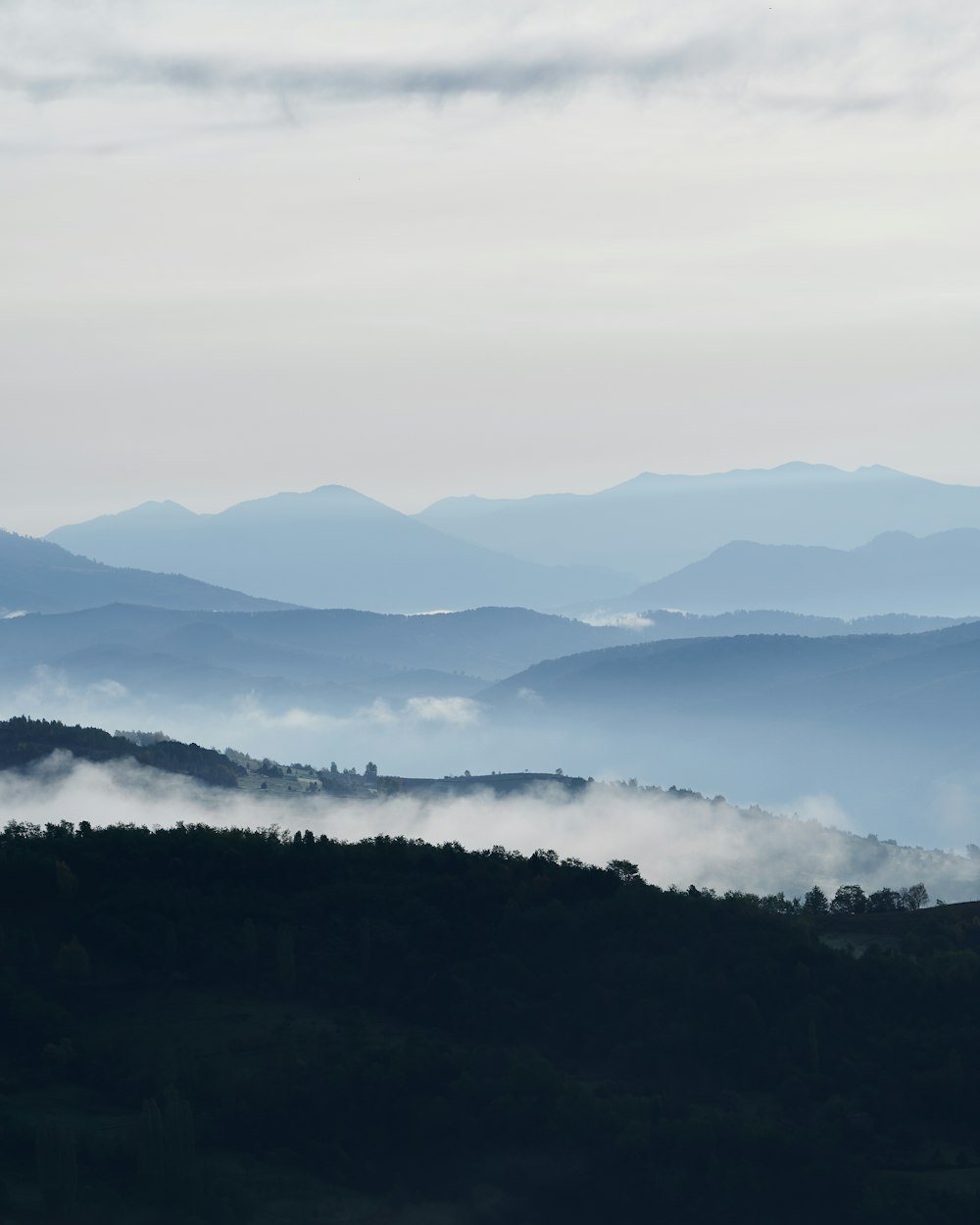 green trees on mountain during daytime