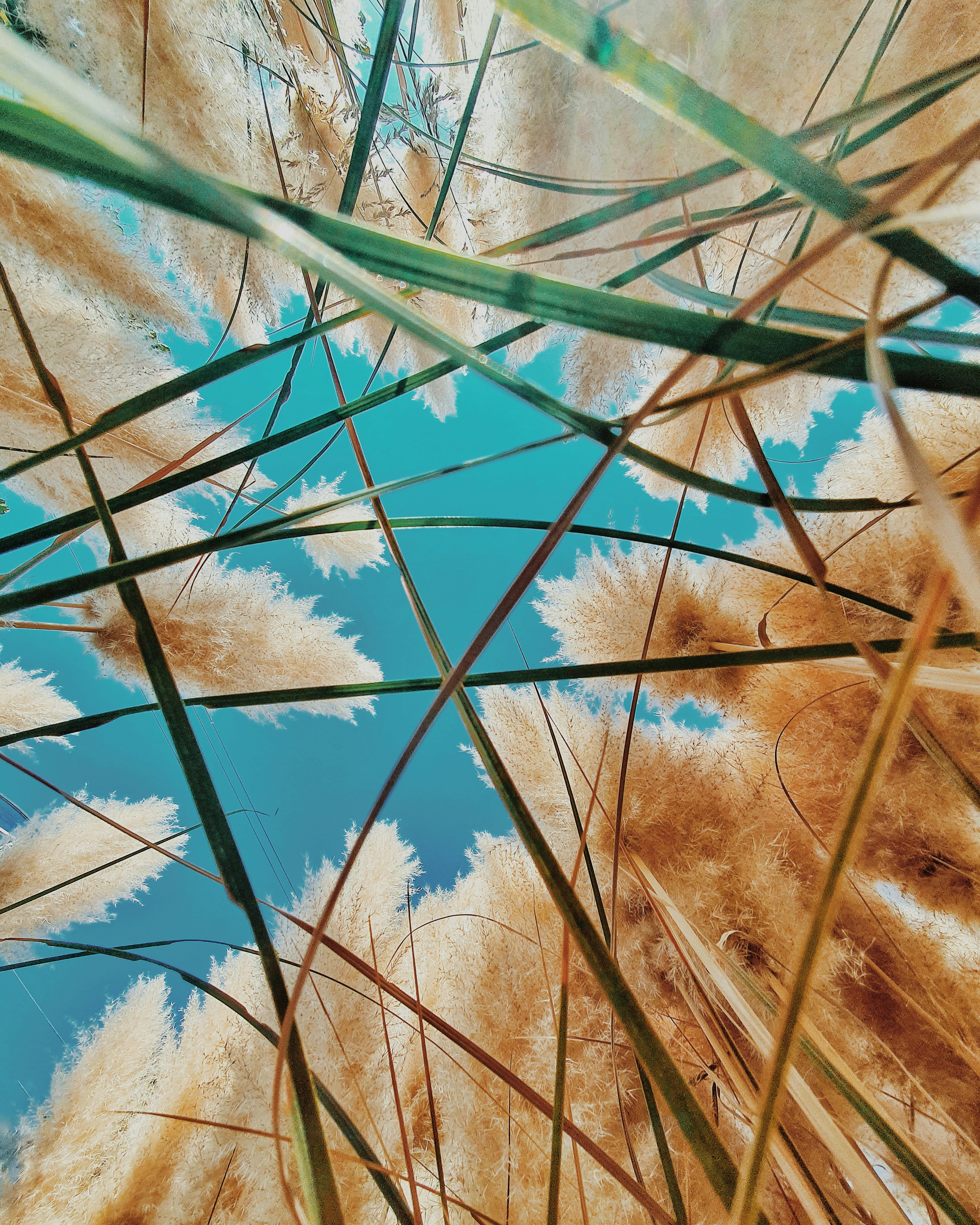 Photo by hasanalmasi