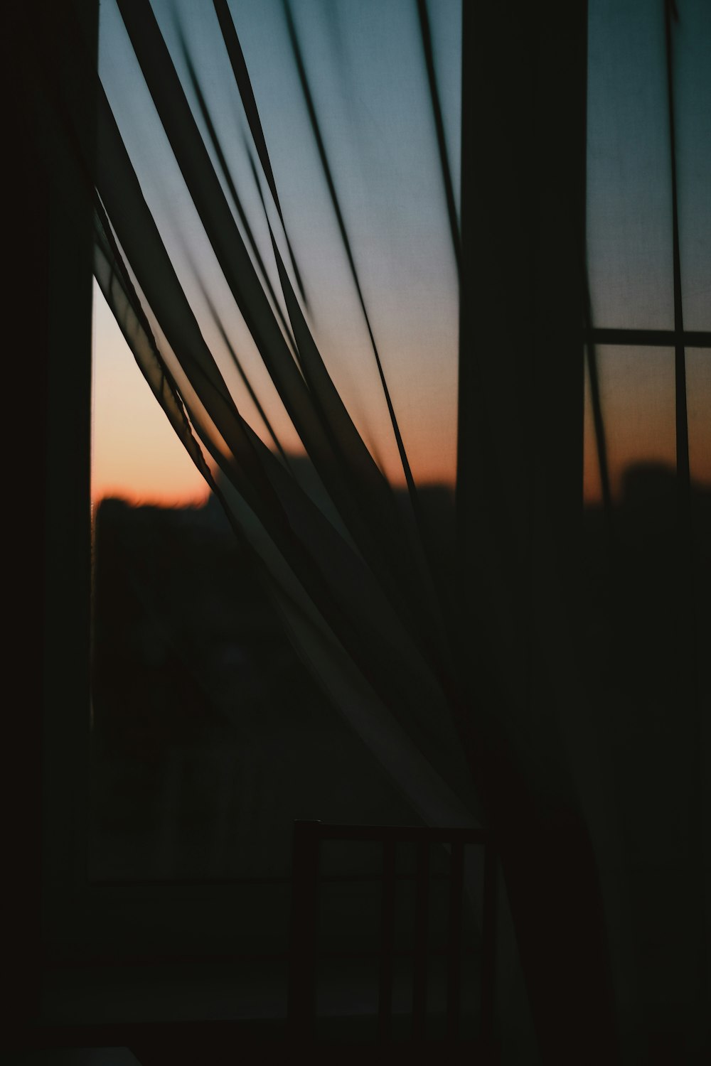 silhouette of trees during sunset