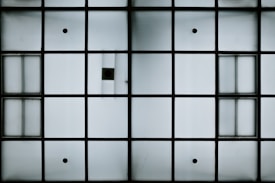 A grid pattern composed of translucent glass or plastic panels with dark borders, arranged in a symmetrical manner. Some panels feature small, circular details or faint lines.