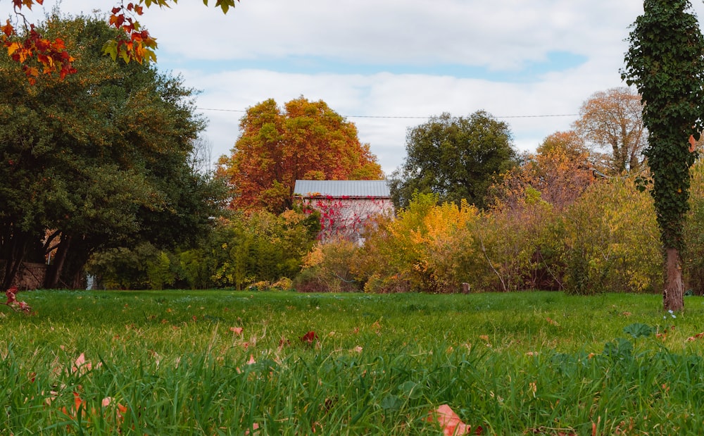 green grass field with trees and red and white signage during daytime