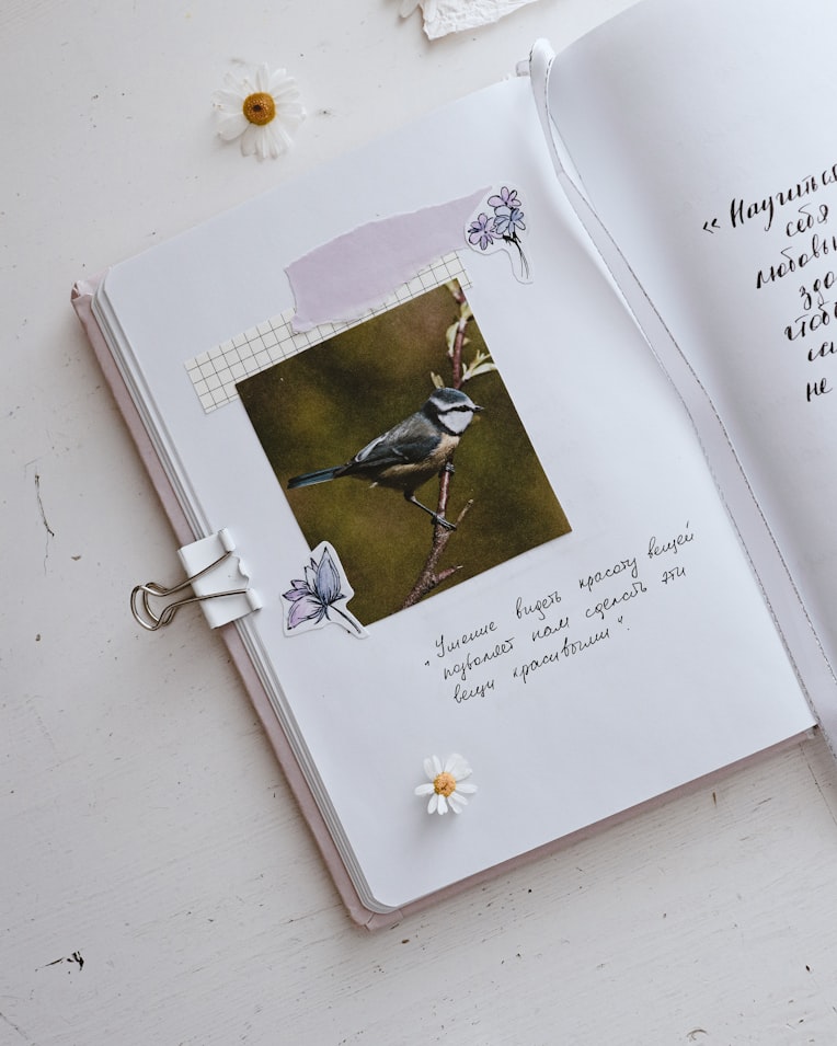 photo by Pure Julia via unsplash.com - Art journal spring aesthetic pages