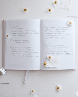 journal