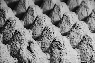 Close-up of a vacuum-formed tray showing detailed texture and finish.