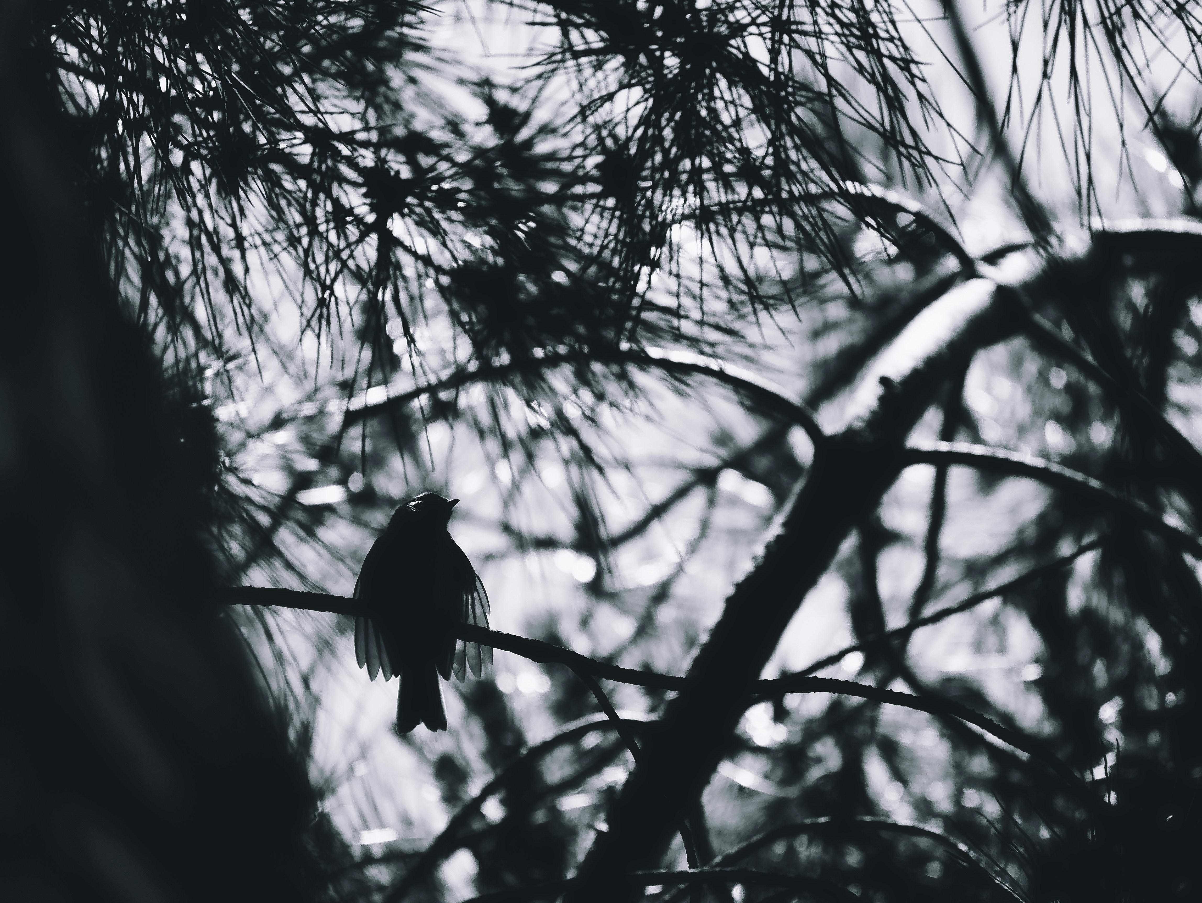 Photo by lapattesensible