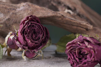 A rustic driftwood sculpture framed in vintage wood, adorned with soft pink and white faux flowers.