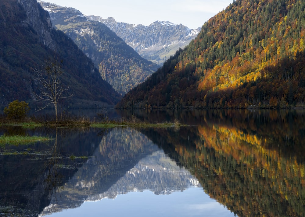 green and brown mountains beside lake during daytime