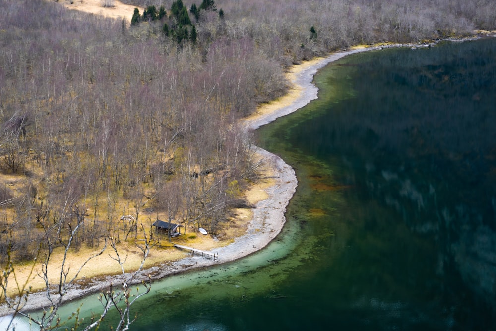 aerial view of river in between trees during daytime