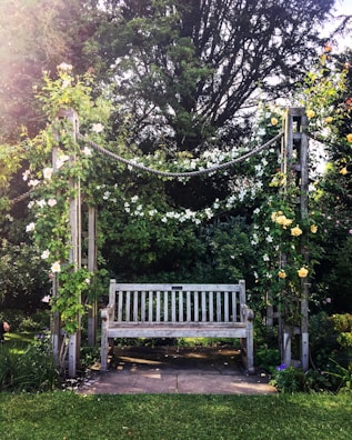 A rustic wooden garden bench surrounded by blooming flowers and climbing vines.