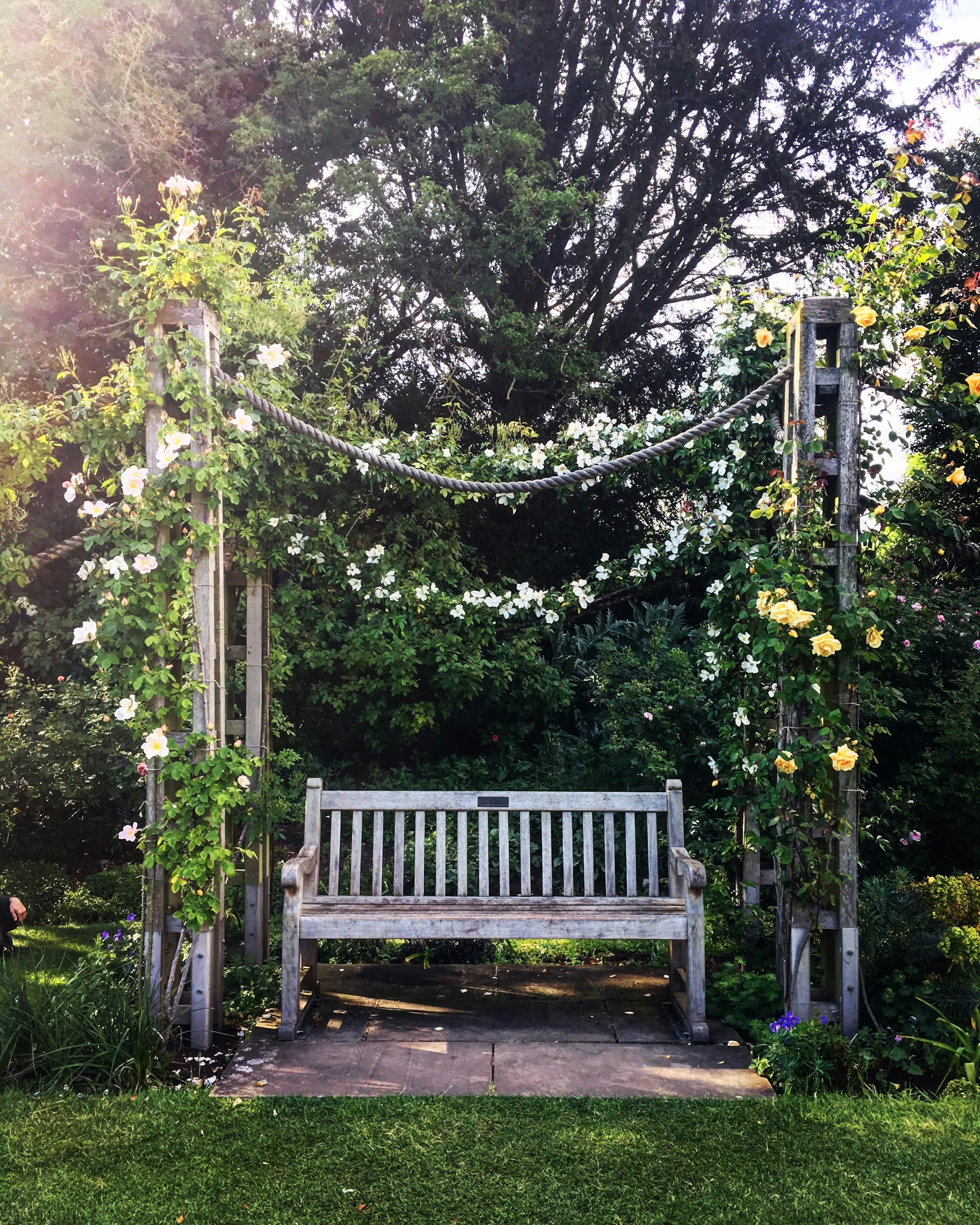 gray computer monitor