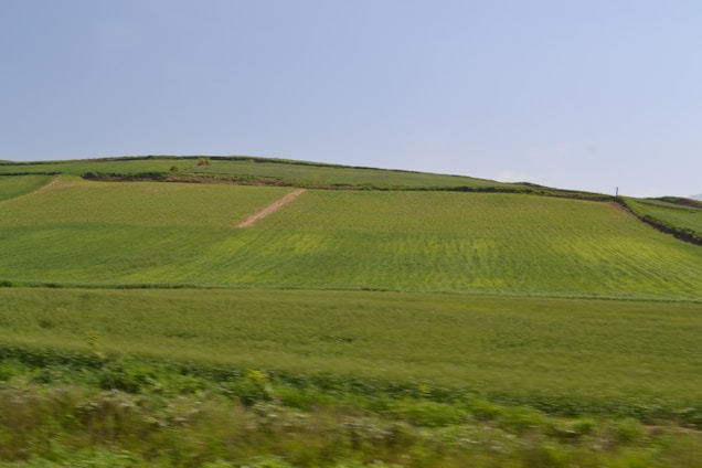 A lush green landscape showcasing diverse agricultural fields and livestock.