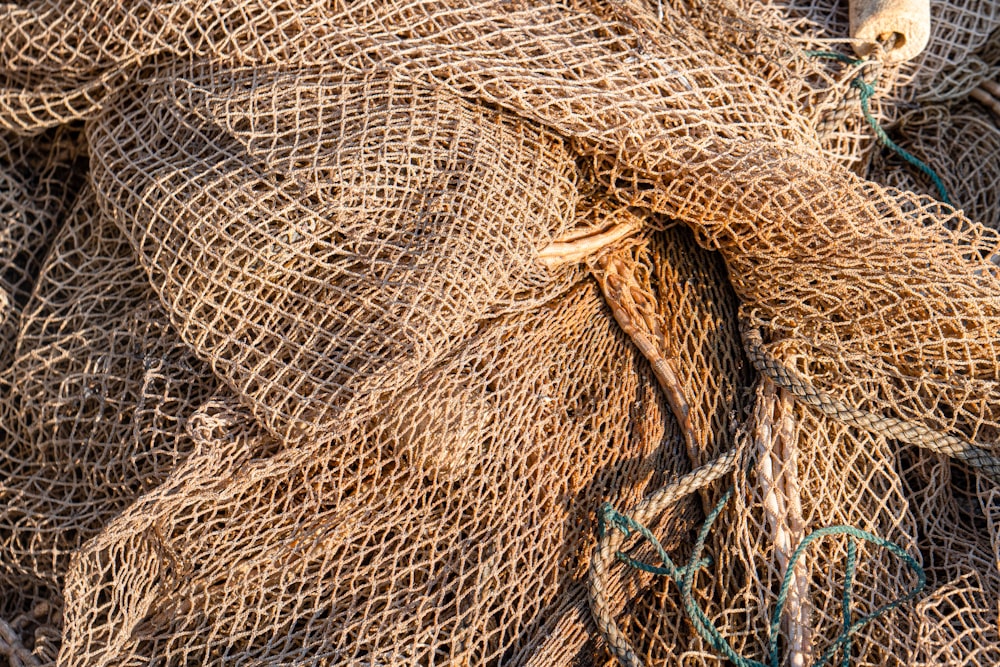 brown and blue net on gray concrete floor