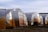 Several large, plastic-covered greenhouses are arranged in a row on a patch of grassy land. The transparent plastic film reflects light and creates a gradient of colors from orange to yellow. There are some hoses and a black container nearby, and the setting appears to be outdoors under a mostly clear sky.
